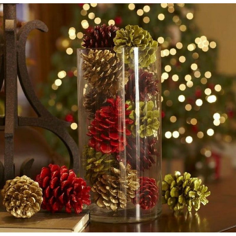 BUNGA PINUS KERING. BIJI PINUS. PINUS