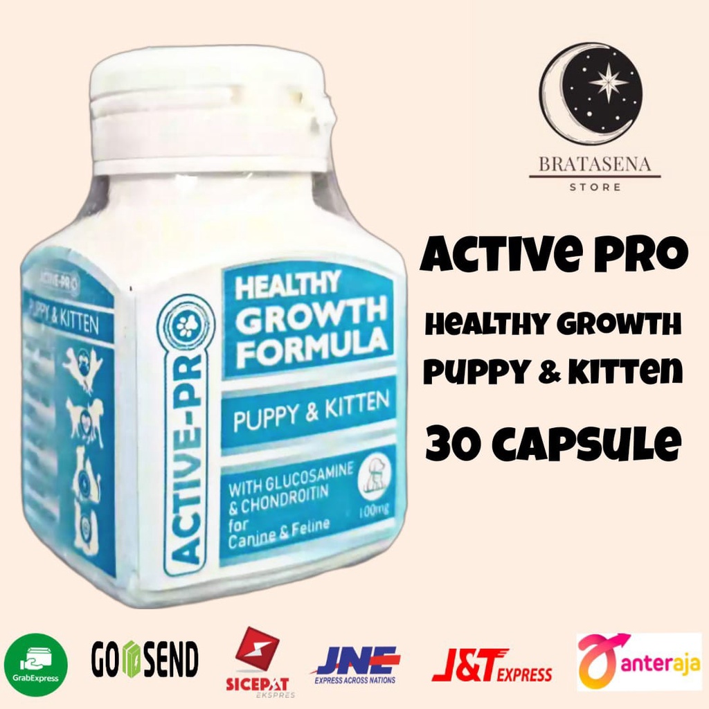 ACTIVE PRO HEALTHY GROWTH FORMULA VITAMIN UNTUK ANAK ANJING DAN KUCING