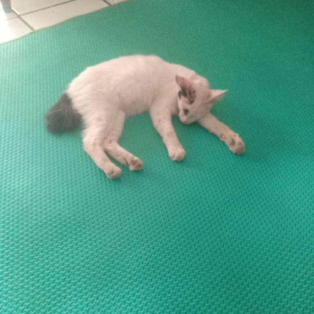 Amanah Batik Couple Rabbani Set / Couple Rabbani Batwing / Couple Batwing Rabbani Pink