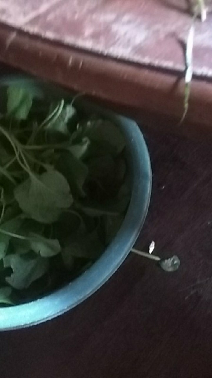 Size M L Xl Xxl Xxxl Bswart Batik Hrb026 Kenongo Hem Panjang  Pekalongan M L Xl Batik Pria L