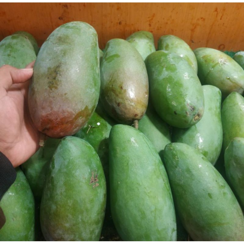 

Mangga Lokmay Fresh manis Promo 1 kg