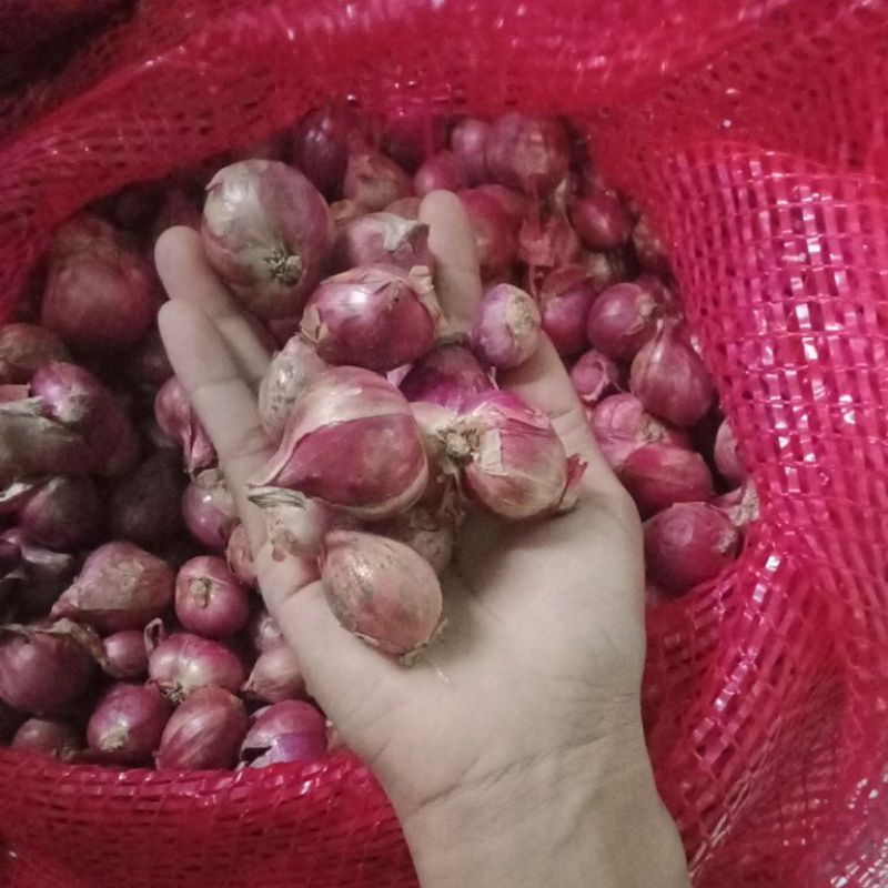 

bawang merah brebes campur 1kg