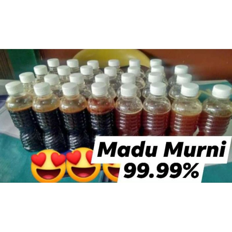 

Madu hutan asli murni