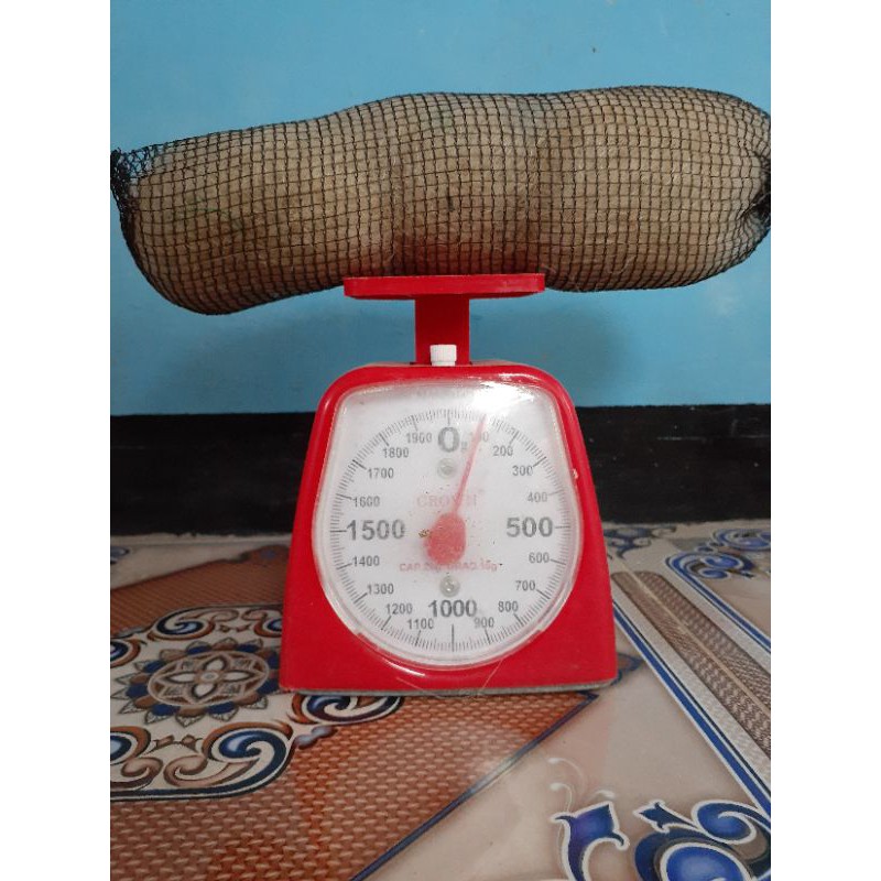 

jariang nelayan kemasan 1 ons