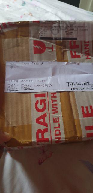 Ringbox Terrrarium Only Mini