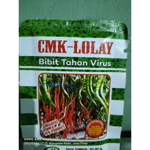 Bibit Cabai Kriting Tahan Virus CMK-LOLAY netto 10gram
