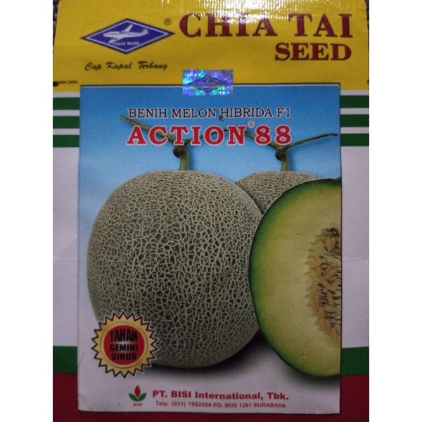 benih melon hibrida F1 action 88
