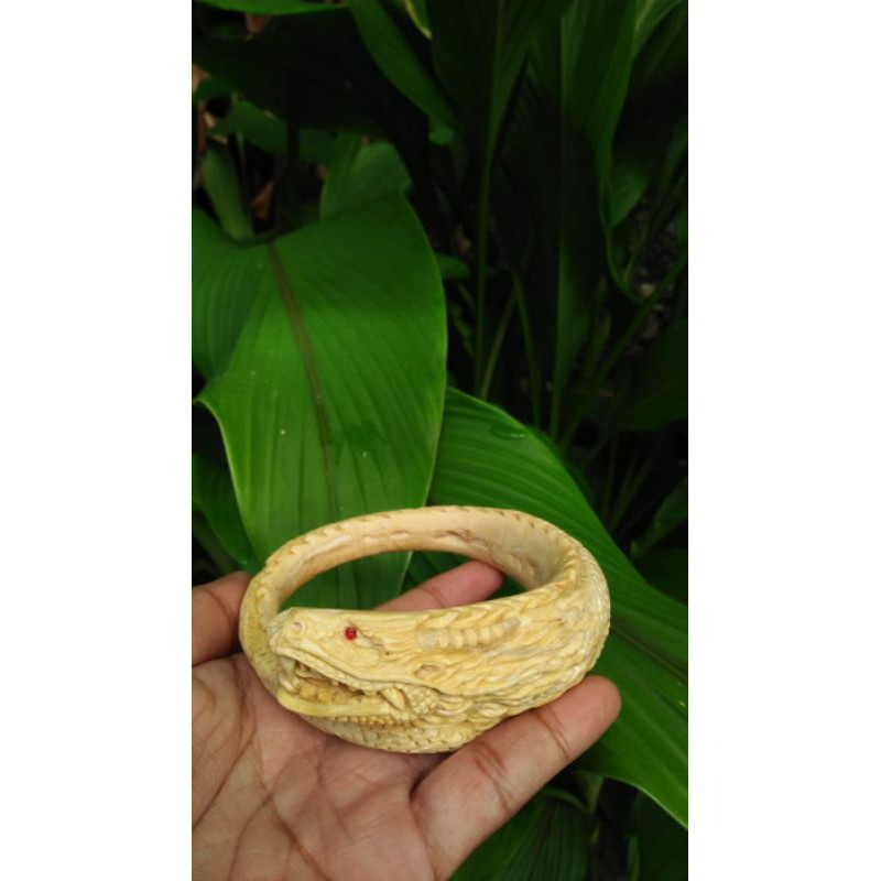 

Bahar putih uker naga