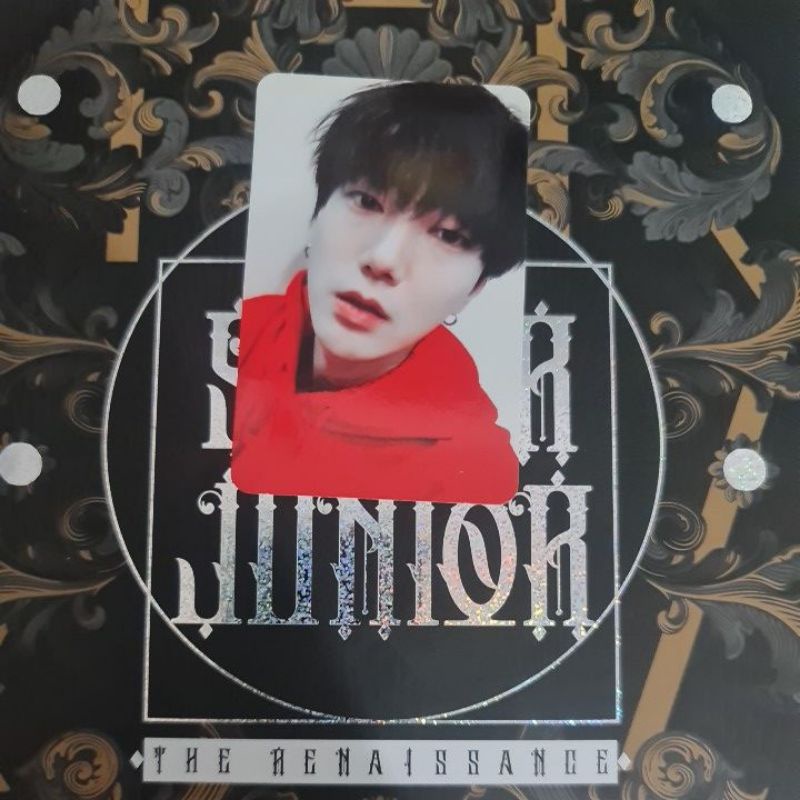 Super Junior Yesung Photocard Spring Falling Official