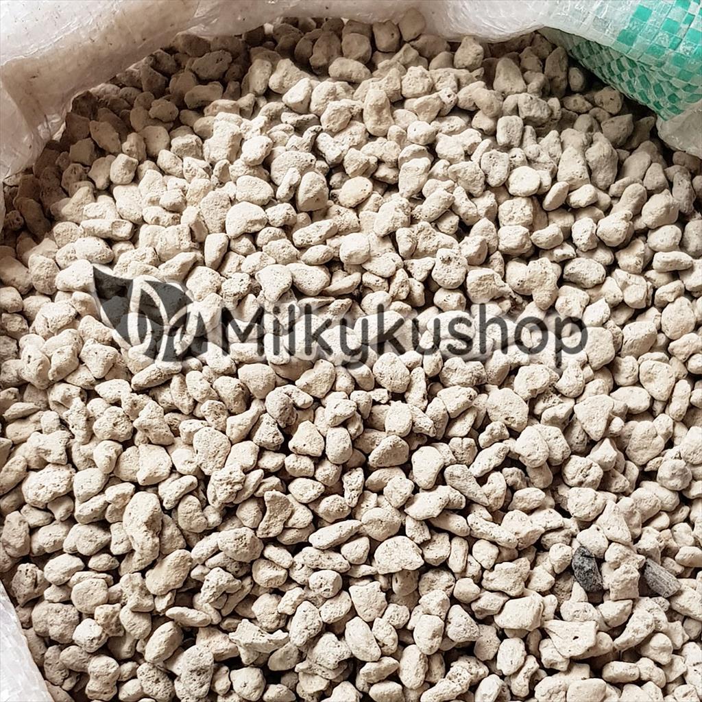 BATU APUNG KECIL - PUMICE STONE AQUARIUM FILTER