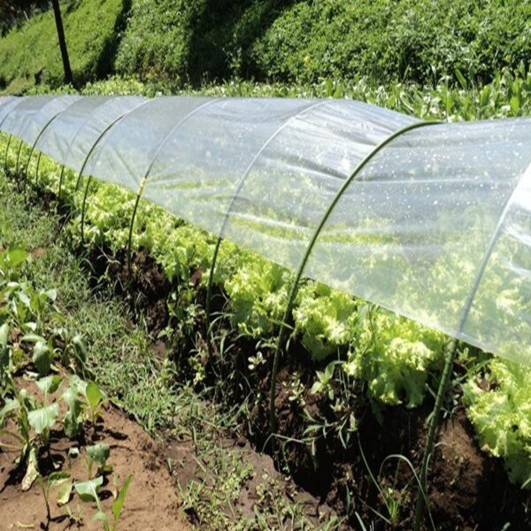 Tunnel Pipe 11 mm x 180 cm Takiron Ajir Sungkup Tanaman Pipa Plastik