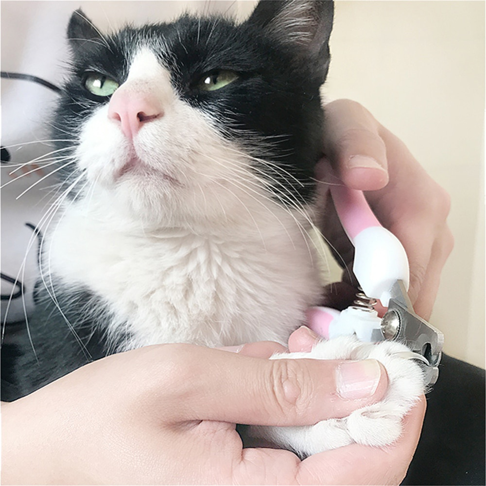 Gunting Kuku Anjing Kucing Kelinci plus kikir Profesional mudah akurat cepat Stainless Steel Professional Pet Cat Dog Nail Clipper Cutter Dog Stainless Steel Scissors Cat Toe Care Grooming Tools for Animals Pet Supplies Pet dog nail grinder Toe Care nail