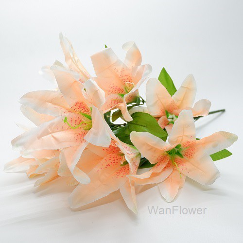 WANFLOWER Bunga Lily X10 * CHAMPAGNE