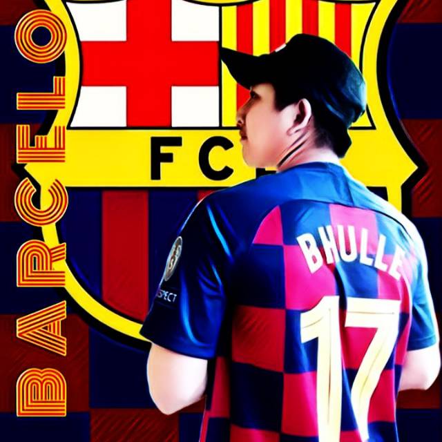 bhulleviscabarca