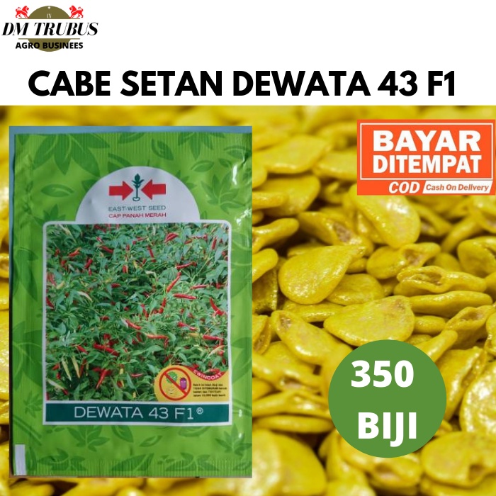 Benih Bibit Cabe Rawit Setan DEWATA 43 F1 350 Biji Kemasan Pabrik