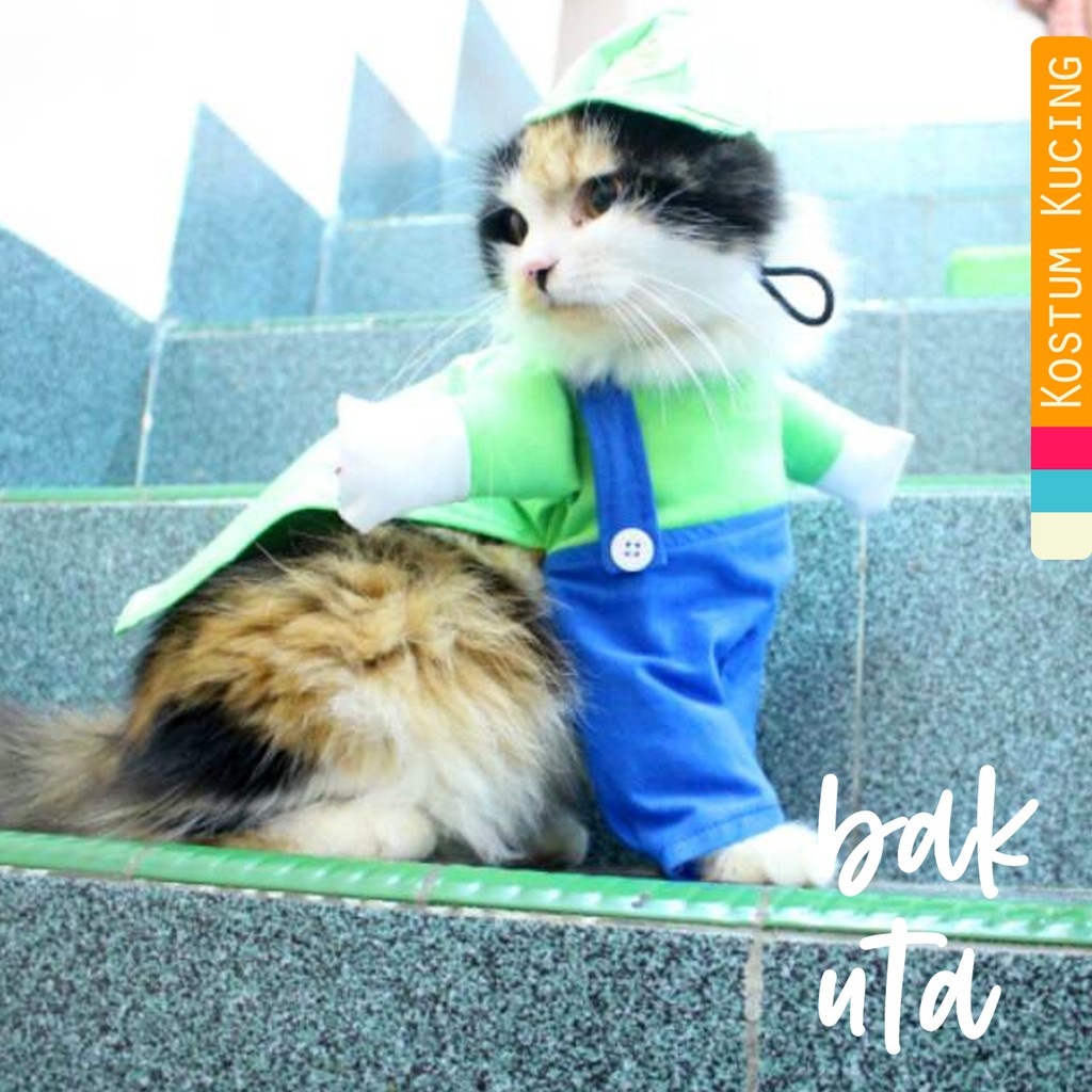 Kostum luigi untuk kucing dan anjing / baju kucing / aksesoris kucing lucu size S M L XL