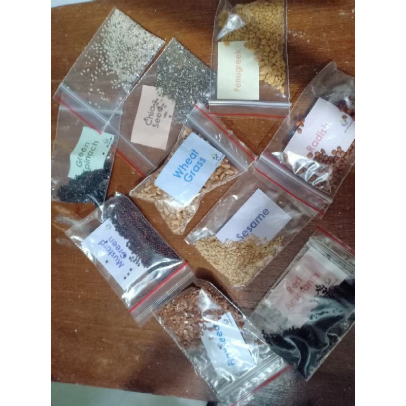 bibit sayur microgreen (bibit saja)