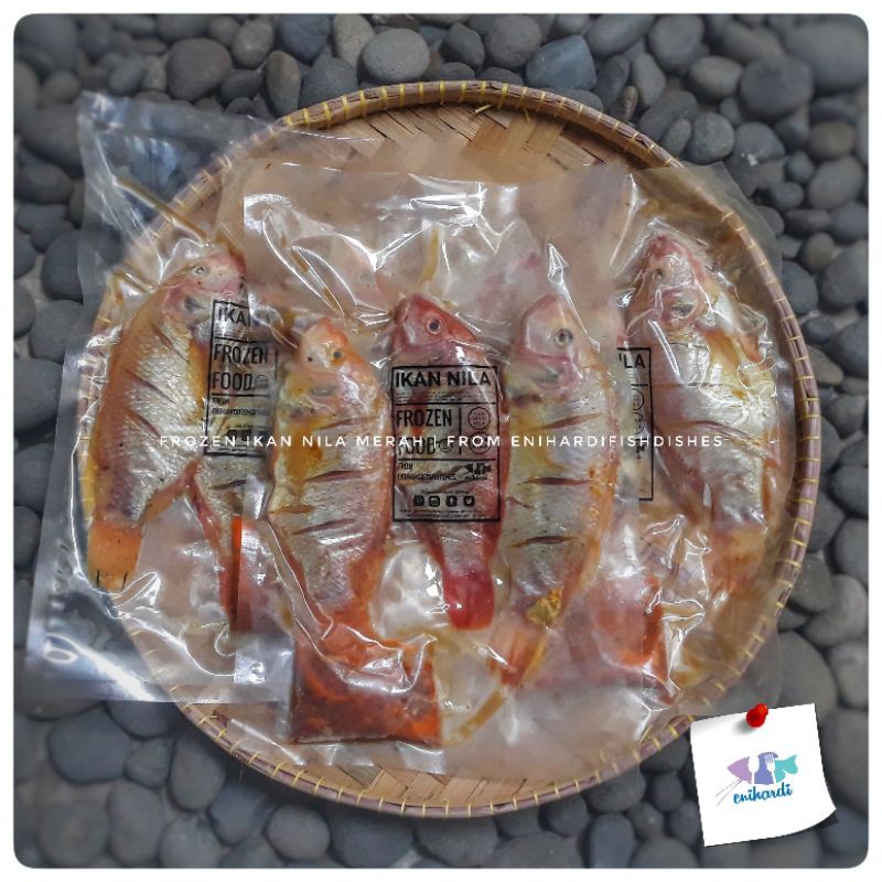 Ikan Nila Merah Premium Quality (Frozen) dari Subang
