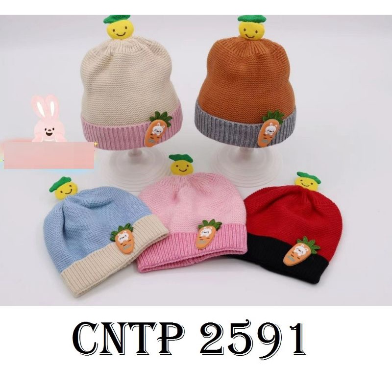 Topi Rajut Carrot (TP-RCT)