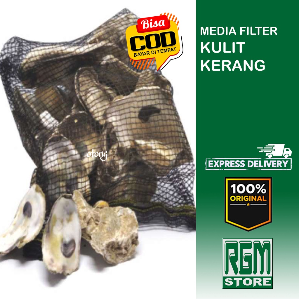 oyster kulit kerang media filter jaring kolam aquarium ikan 5 kg