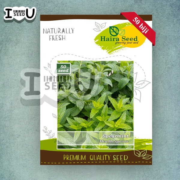 Haira Seed Bibit-Biji Spearmint