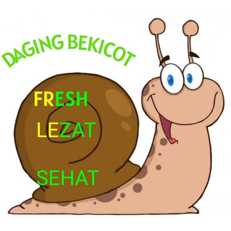 Daging Bekicot Fresh Kualitas Super