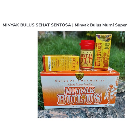 

MINYAK BULUS SEHAT SENTOSA | Minyak Bulus Murni Super