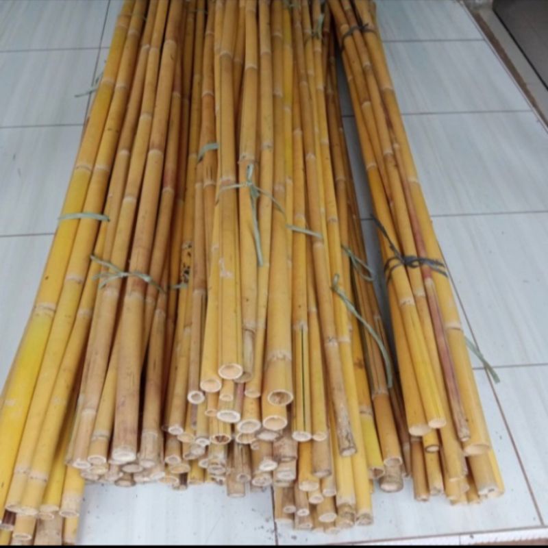 bambu kuning panjang 120cm