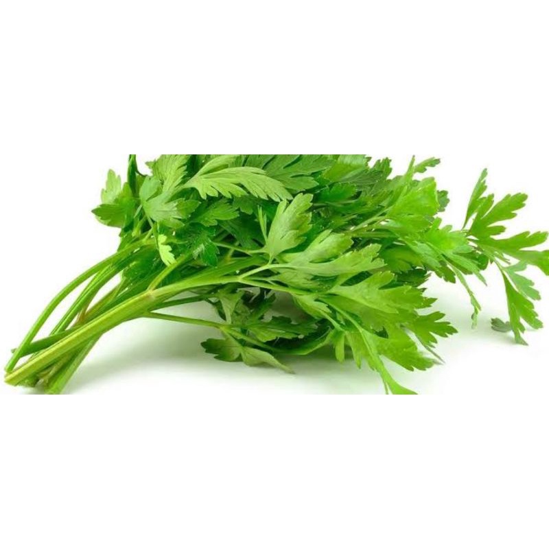 

Seledri / Daun Sop per 100 gr
