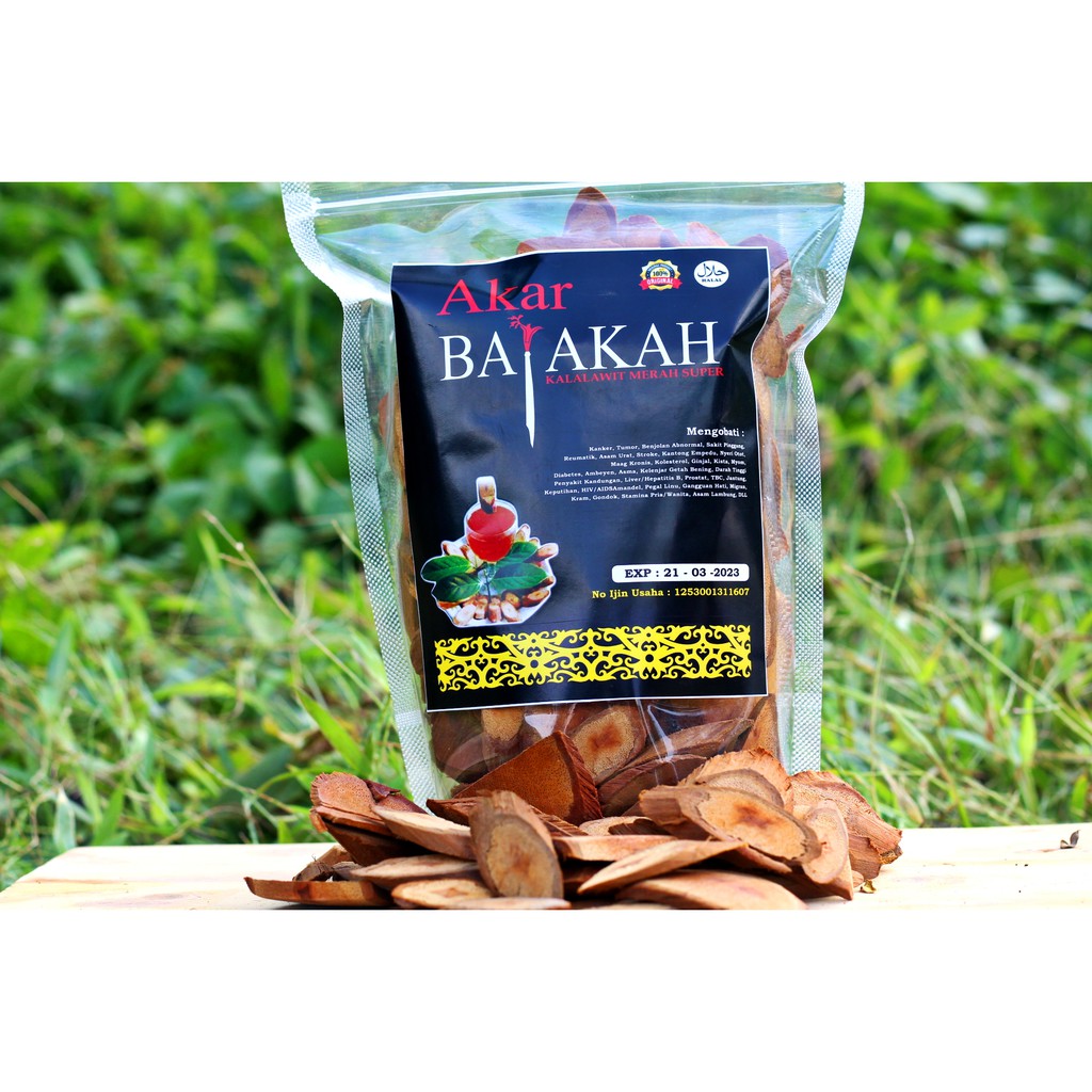 Minyak Urut Dayak ASLI KALIMANTAN + teh bajakh