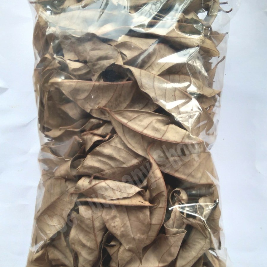 

DAUN PALA KERING 500 GRAM