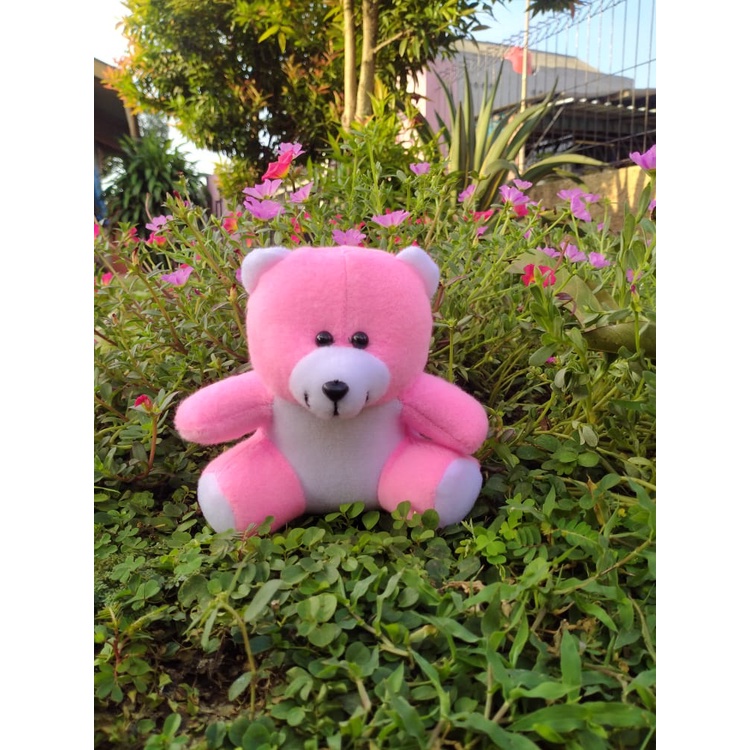 Boneka teddy bear mini / souvenir wisuda / boneka bucket / parcel boneka teddy bear 14cm