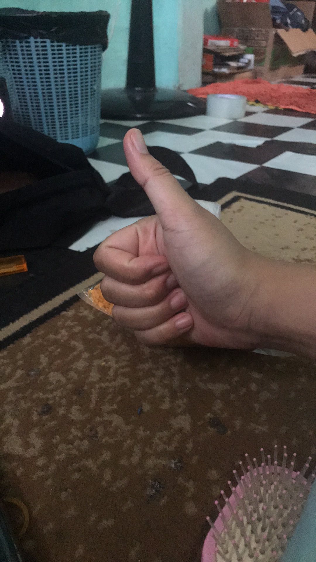 Selang Air 1/2 Permeter