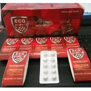 eco racing motor
