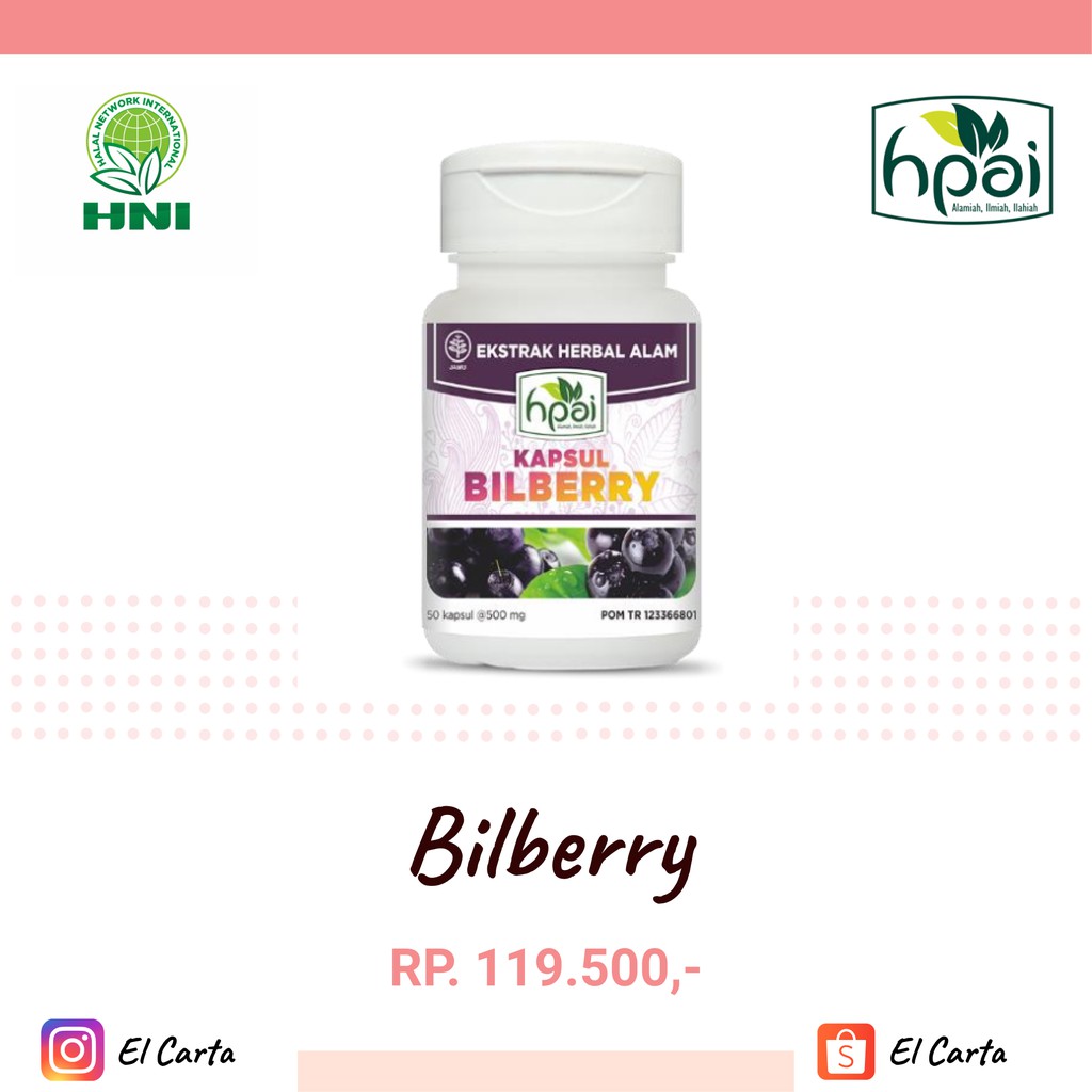 

Bilberry Herbal | Suplemen Kesehatan Mata dan Tubuh