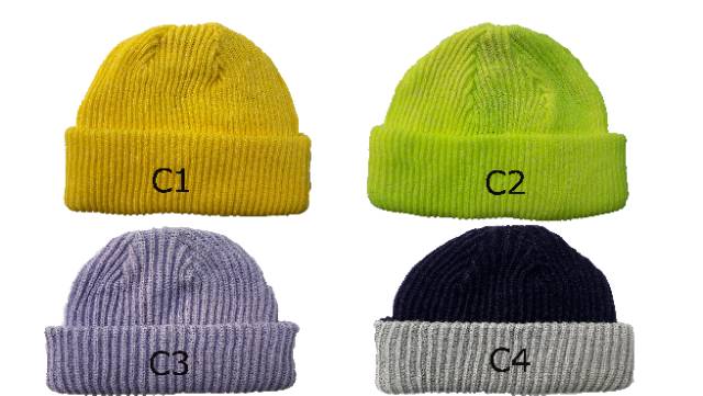 SHORT benaie hat skate series,beanie hat polos