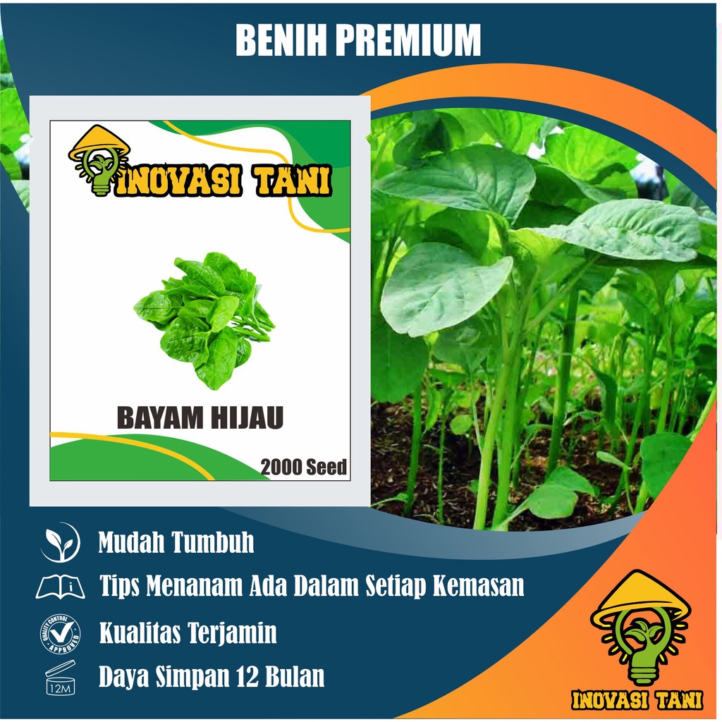 Jual Benih Bibit Biji Super Sayur Bayam Jepang Horenso BENIH TANAMAN ...