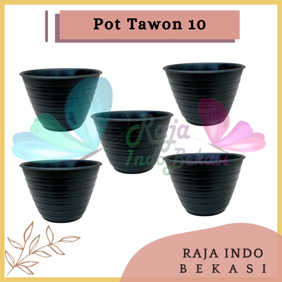 Pot Tawon 10 Hitam Pot Kecil Kaktus Gantung Hiasan Hidroponik Murah Pot Mini Minimalis Plastik Lucu 7 Cm Grosir