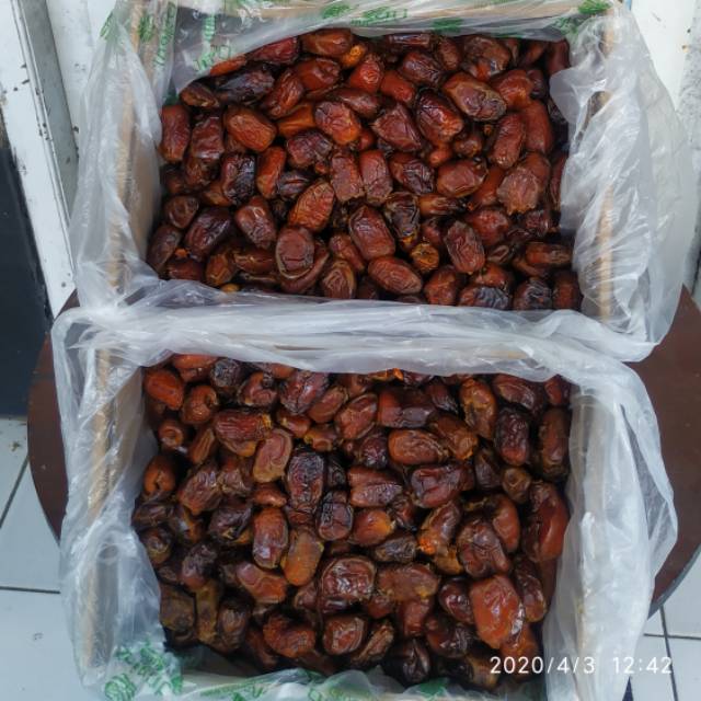 

kurma mesir