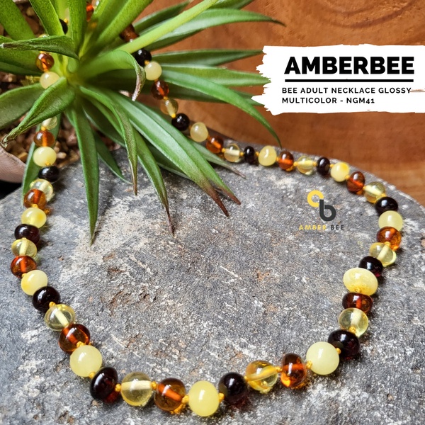 Kalung Amber Dewasa Premium Glossy Multicolor 46-57cm NGM41