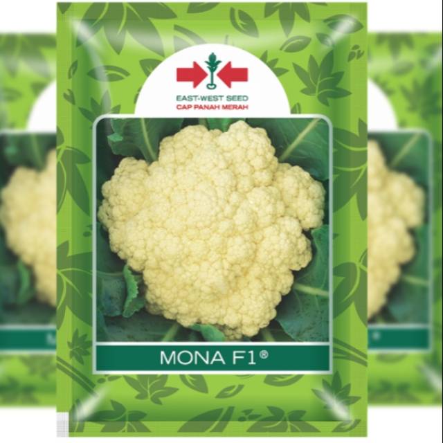 Benih bunga kol MONA F1 isi 250