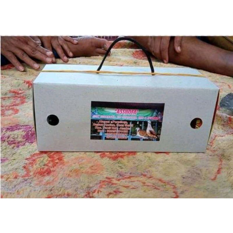 Burung perkutut Bangkok