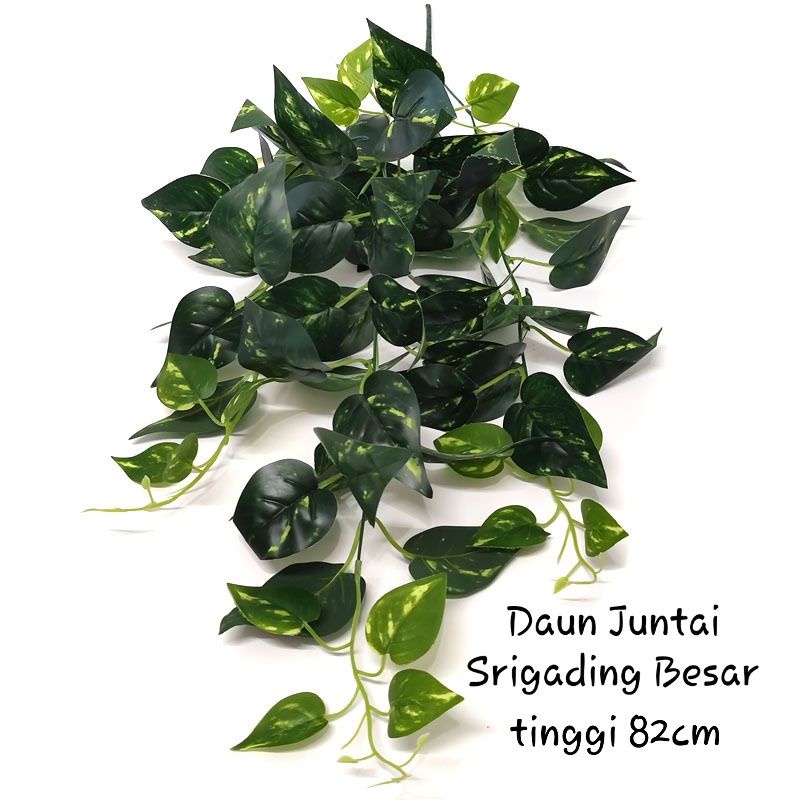 Daun Juntai Rimbun / Daun plastik merambat (Tanpa Pot)