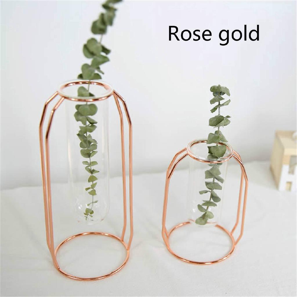 Botol Kaca Pot Tanaman Hidroponik Terrarium Shopee Indonesia Botol Kaca Pot Tanaman Hidroponik Terrarium Shopee Indonesia