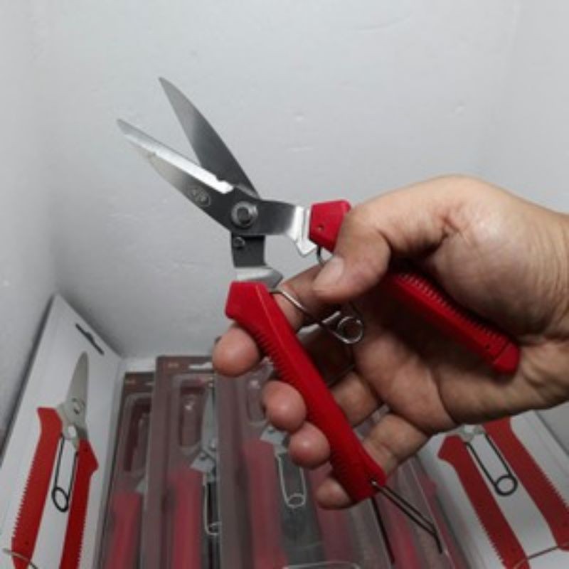 

Gunting Ranting Dahan Stek Bonsai Stainless Steel Tajam Gunting Pruning
