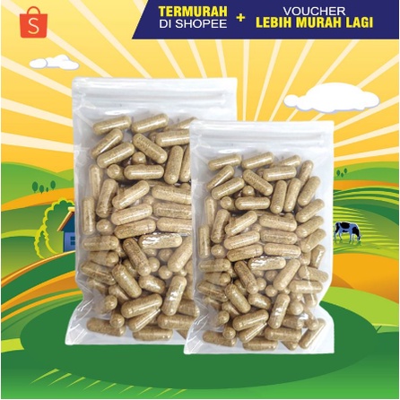 OBAT BIRAHI KUCING - Obat Birahi Kucing Obat Penambah Gairah Kucing Obat Kawin Kucing Obat Vitalitas