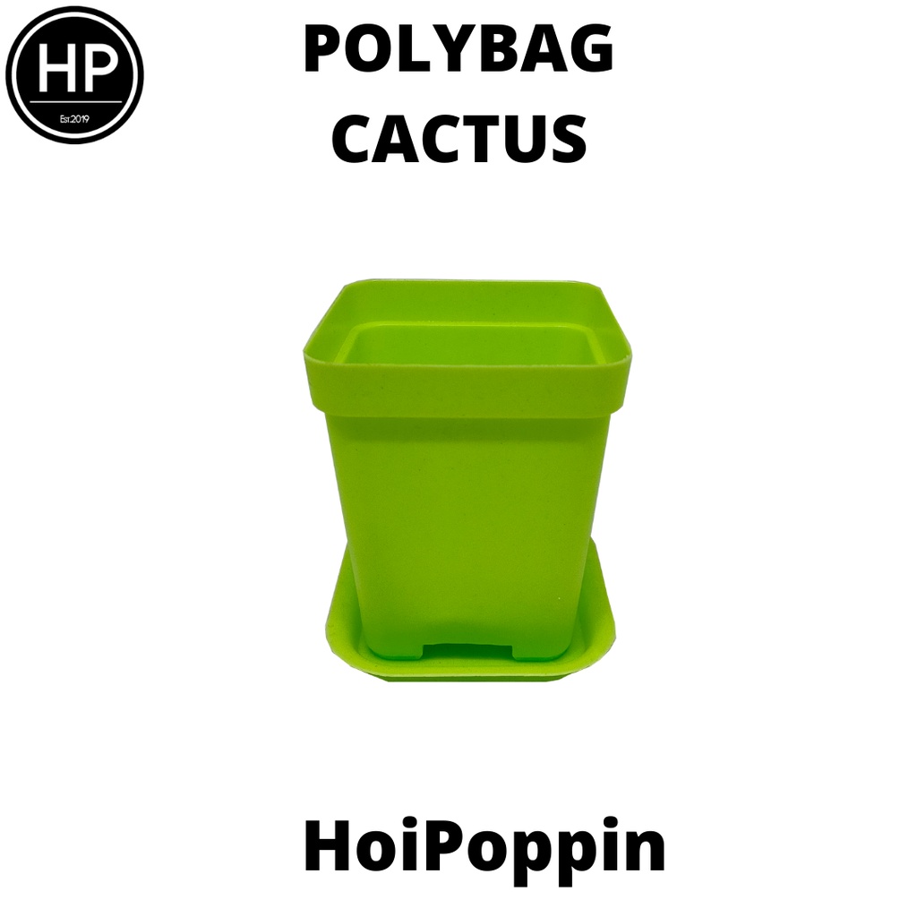 HPP - Polybag (Hijau) - cactus polybag - pot cactus - pot elastis - pot dan tatakan - pot - pot hias