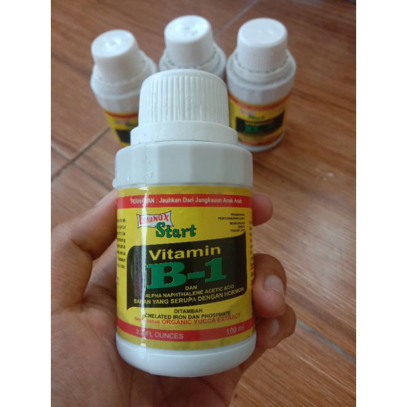 vitamin B1 tanaman