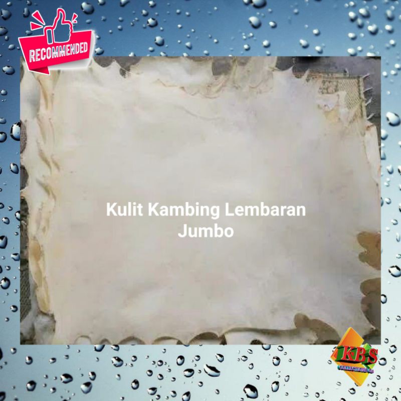 Kulit kambing ternak Lembaran
