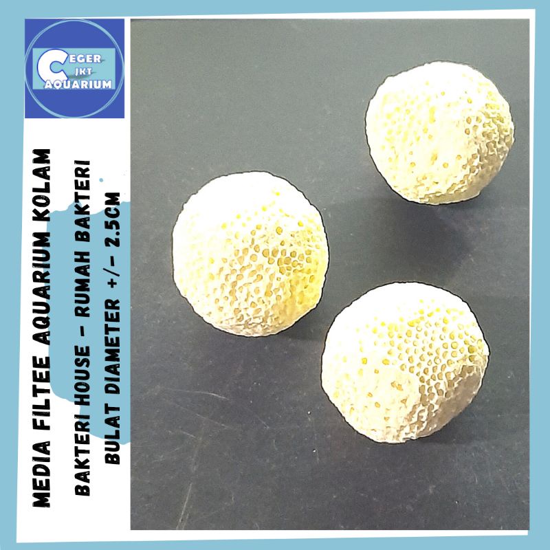 Bakteri House Rumah Bakteri Bulat Media Filter Aquarium